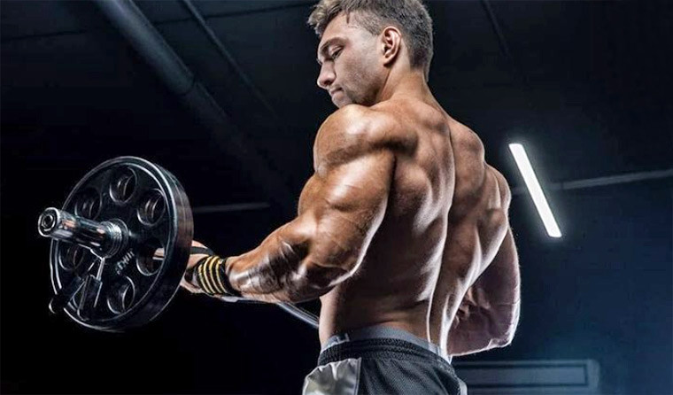 Что такое анаболизм и катаболизм