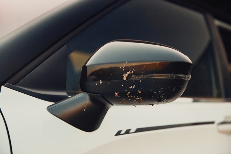 Mitsubishi Outlander обзавёлся в США приключенческой версией Trail Edition