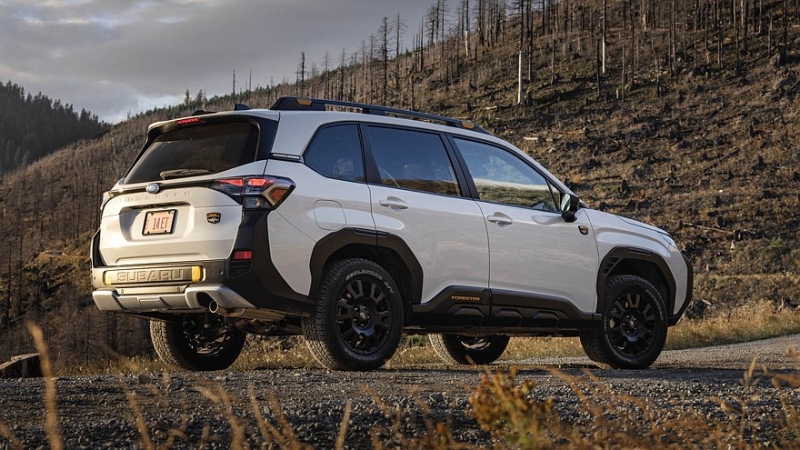 Subaru готовит первый гибрид Wilderness, скорее всего, на базе кроссовера Forester