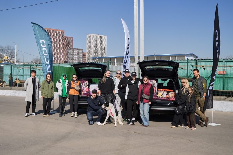 Jaecoo и клуб владельцев объединились для помощи приюту для животных